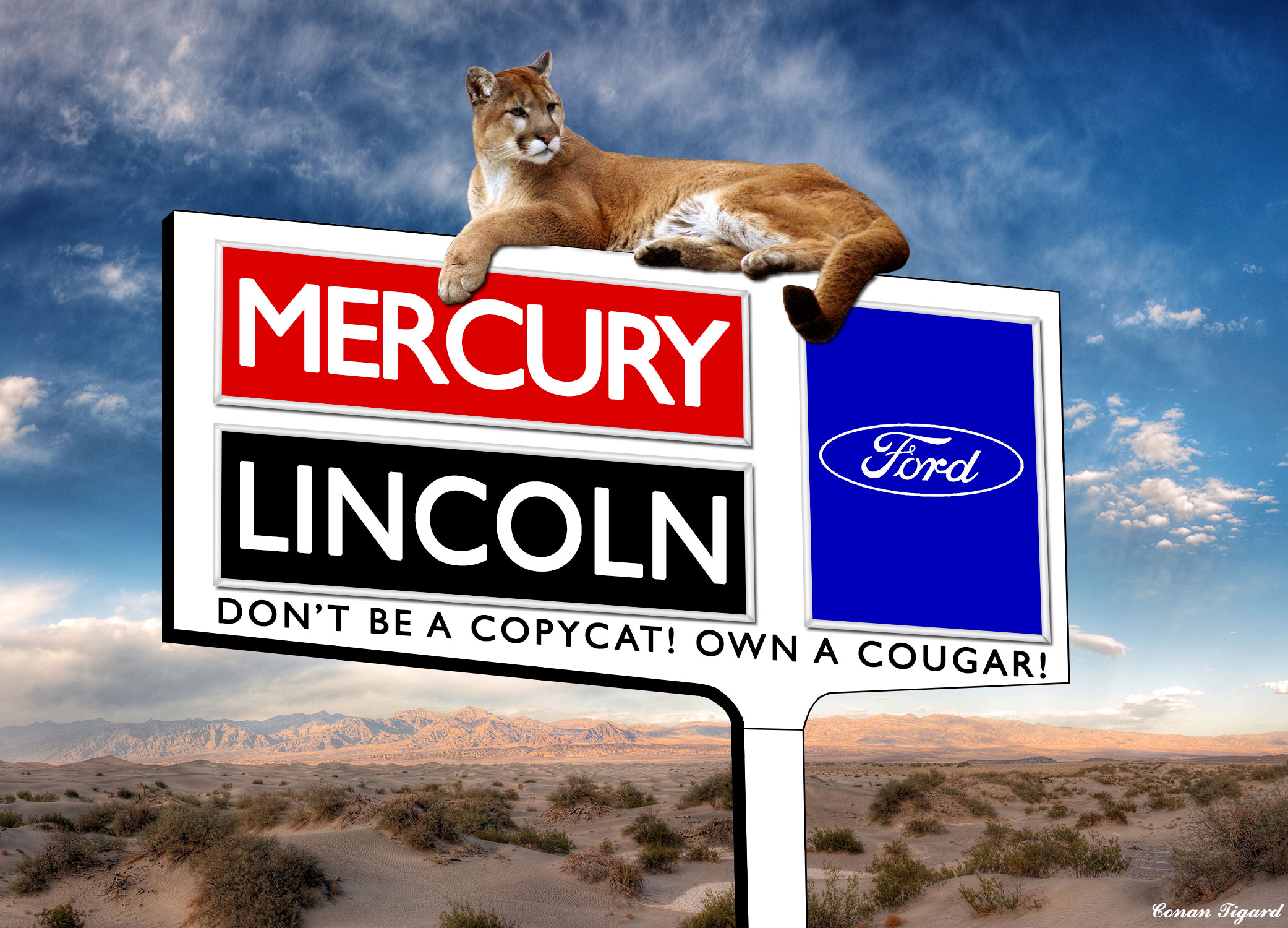 Ford Lincoln Mercury Sign