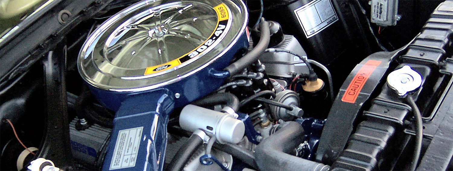 Eliminator Boss 302 Engine