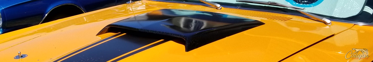 Eliminator Hood Scoop